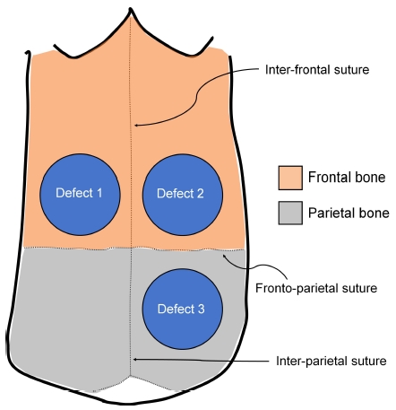 Figure 1. Figure 1.