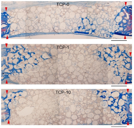 Figure 2. Figure 2.