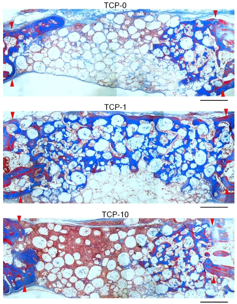 Figure 4. Figure 4.