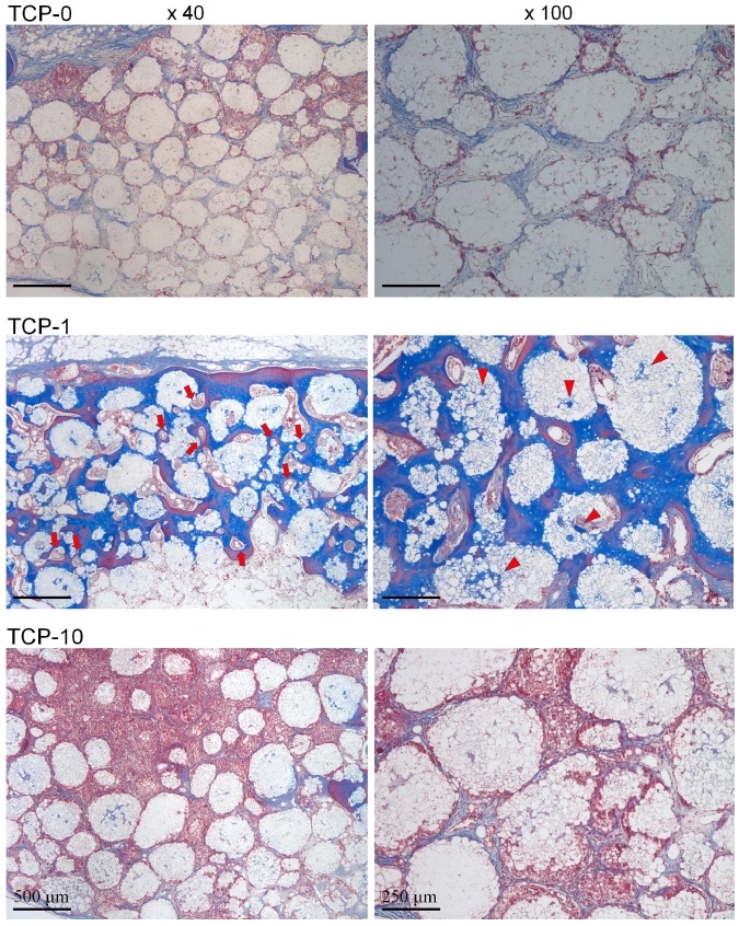 Figure 5. Figure 5.
