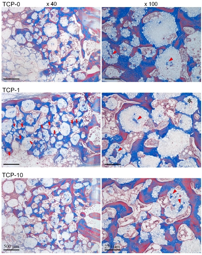 Figure 6. Figure 6.