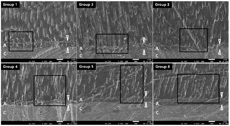 Figure 3. Figure 3.