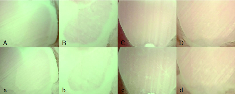 Figure 2. Figure 2.