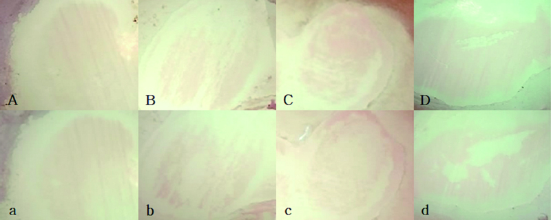 Figure 3. Figure 3.