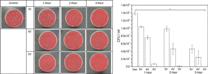 Figure 5. Figure 5.