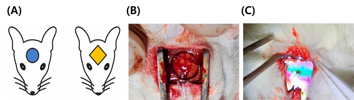 Figure 1. Figure 1.